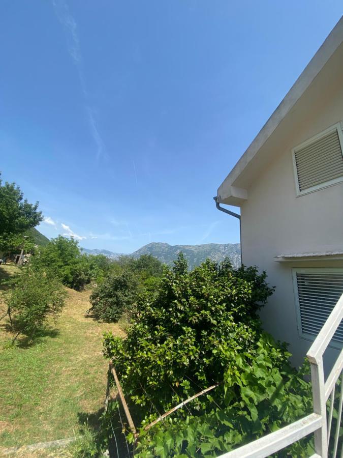 Apartments Djuricic 科托尔 外观 照片