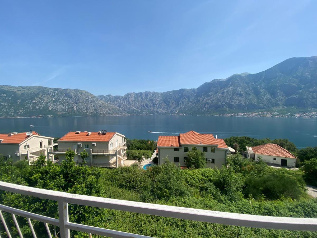Apartments Djuricic 科托尔 外观 照片