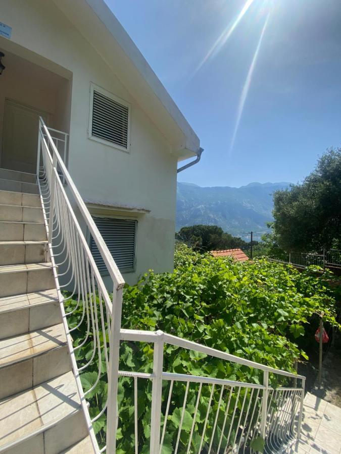 Apartments Djuricic 科托尔 外观 照片